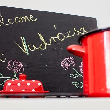 Pensjonat Vadrozsa Vendeghaz Rácalmás Zewnętrze zdjęcie