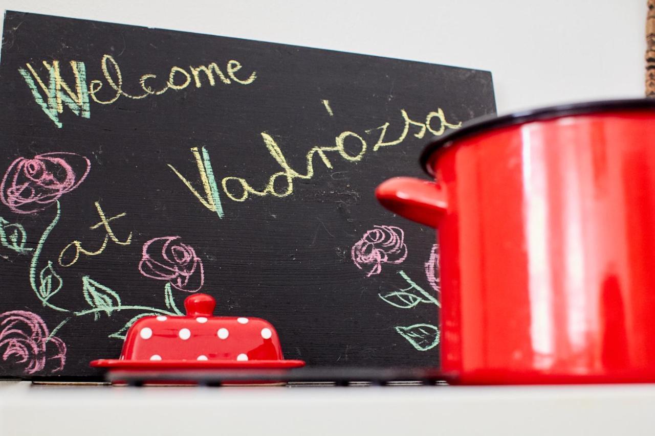 Pensjonat Vadrozsa Vendeghaz Rácalmás Zewnętrze zdjęcie