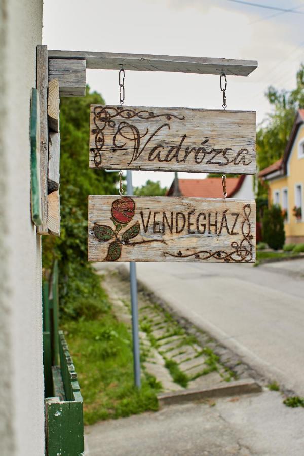 Pensjonat Vadrozsa Vendeghaz Rácalmás Zewnętrze zdjęcie