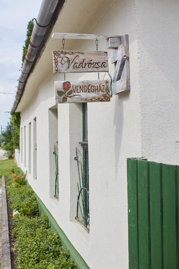 Pensjonat Vadrozsa Vendeghaz Rácalmás Zewnętrze zdjęcie